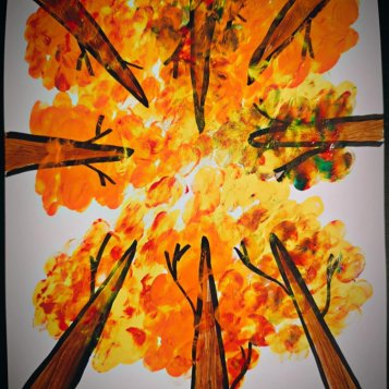 Z žabí perspektivy - barvy