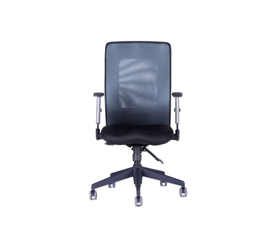 Kancelářská židle CALYPSO GRAND BP (více barev) - Barva: Šedá