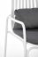 Armchair MELBY (Gray / White)