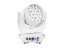 Eurolite LED TMH-X4 otočná hlavica ZOOM, 19 x 15W, QCL RGBW, DMX, biela