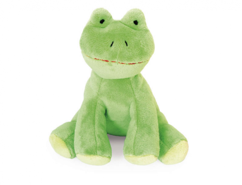 Sensory frog