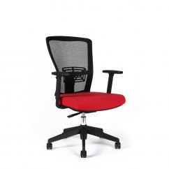 Kancelářská židle THEMIS BP (více barev)