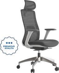 Ergonomická kancelářská židle WISDOM, šedý plast, světle šedá