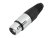 XLR