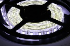 LED páska SMD5050, biela 8000K, 24V, 1m, IP54, 60 LED/m