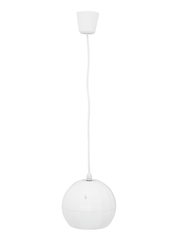 Omnitronic WP-2H stropný reproduktor