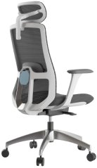 Ergonomická kancelářská židle WISDOM, šedý plast, světle šedá