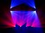 EUROLITE LED TMH-S60 Moving Head Spot