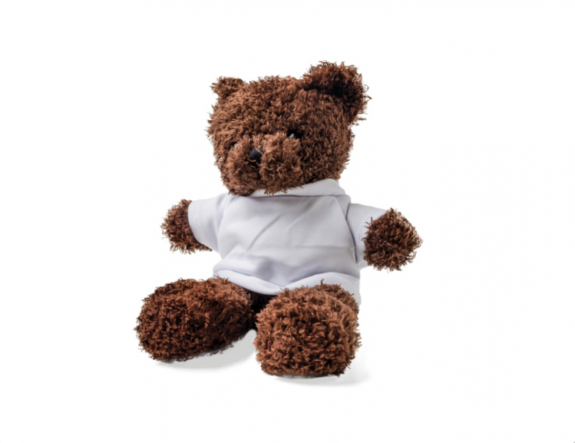 Big dark brown teddy bear- Luke