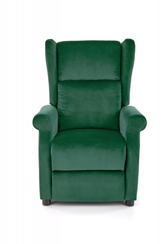 Armchair AGUSTIN 2 (Dark green)