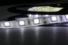 LED páska SMD5050, biela 8000K, 24V, 1m, IP54, 60 LED/m