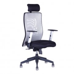 Kancelářská židle CALYPSO XL SP1 (více barev)
