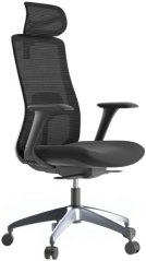 Ergonomická kancelářská židle WISDOM, černý plast, tmavě šedá