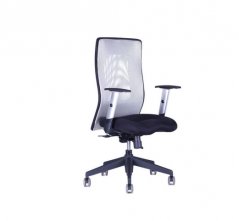 Kancelářská židle CALYPSO GRAND BP (více barev)