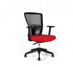 Kancelářská židle THEMIS BP (více barev)