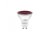 Omnilux GU-10 230V LED SMD 7W, červená