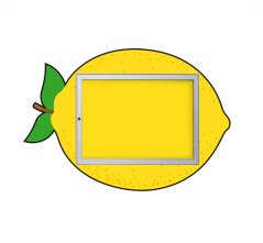 Jednokřídlá vitrína CITRON (8x A4)