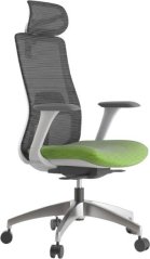 Ergonomická kancelářská židle WISDOM, šedý plast, zelená