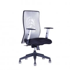 Kancelářská židle CALYPSO GRAND BP (více barev)