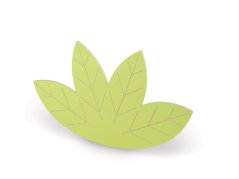 Nástěnná aplikace- List MINTY