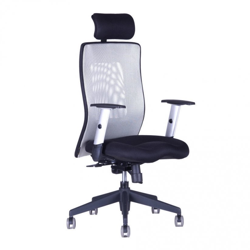 Kancelářská židle CALYPSO XL SP1 (více barev) - Barva: Modrá