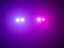 Eurolite IP Audience Blinder 2x100W LED COB RGB+WW