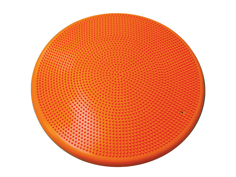 Velký senzorický disk