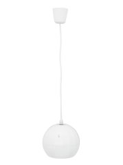 Omnitronic WP-2H stropný reproduktor